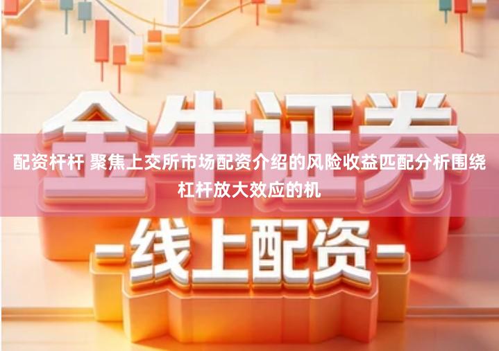 配资杆杆 聚焦上交所市场配资介绍的风险收益匹配分析围绕杠杆放大效应的机