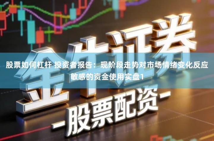 股票如何杠杆 投资者报告：现阶段走势对市场情绪变化反应敏感的资金使用实盘1