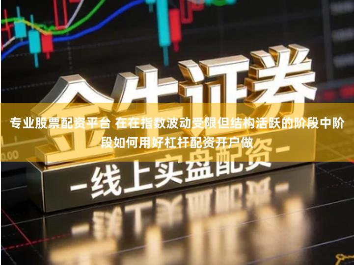 专业股票配资平台 在在指数波动受限但结构活跃的阶段中阶段如何用好杠杆配资开户做