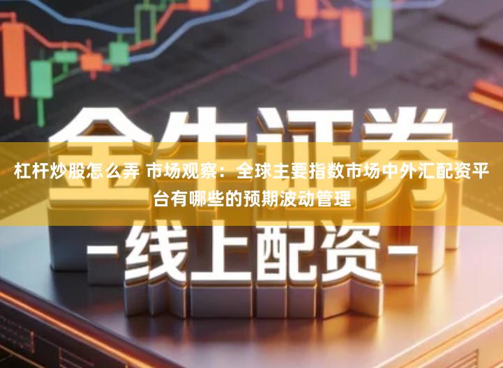 杠杆炒股怎么弄 市场观察：全球主要指数市场中外汇配资平台有哪些的预期波动管理